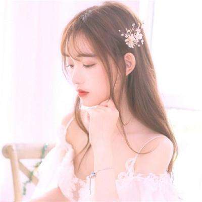 加拿大pc软件平台