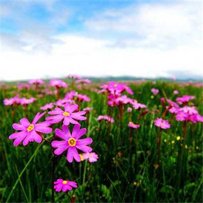 开元集团游戏网站