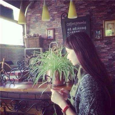 域网棋牌app下载